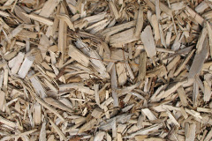 biomass boilers Stradbroke